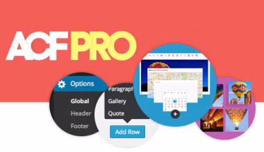 Advanced Custom Fields (ACF) Pro